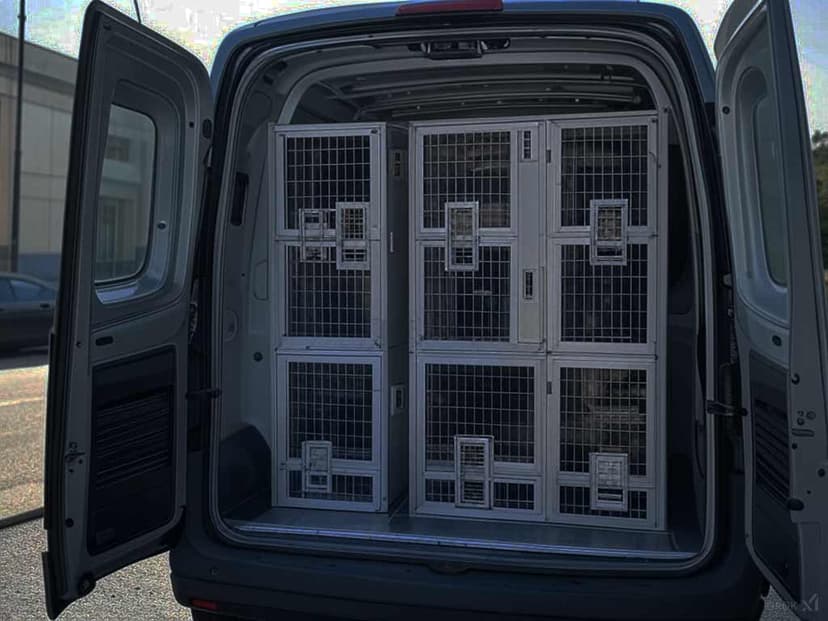 Güvenli korumalı pet taksi aracı