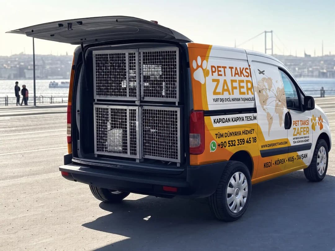 Pet Taksi Zafer — Ankara merkezli profesyonel evcil hayvan taşıma hizmeti aracı